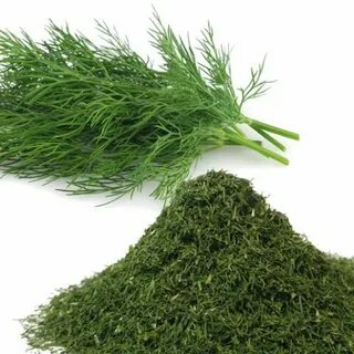 تصویر 5 از خرید شوید خشک فله ای در شیراز + فروش ویژه